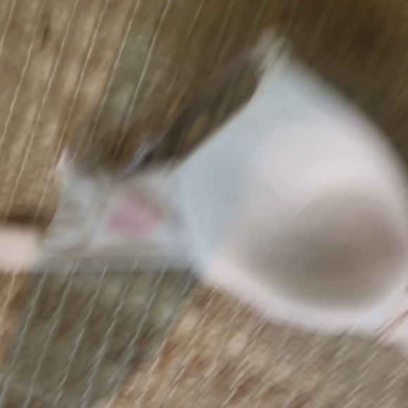 Cream T-Shirt Bra with Invisible Padded Underwire and Adjustable Straps - Picture 8 of 8